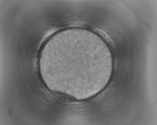 X0000115451164200912161508