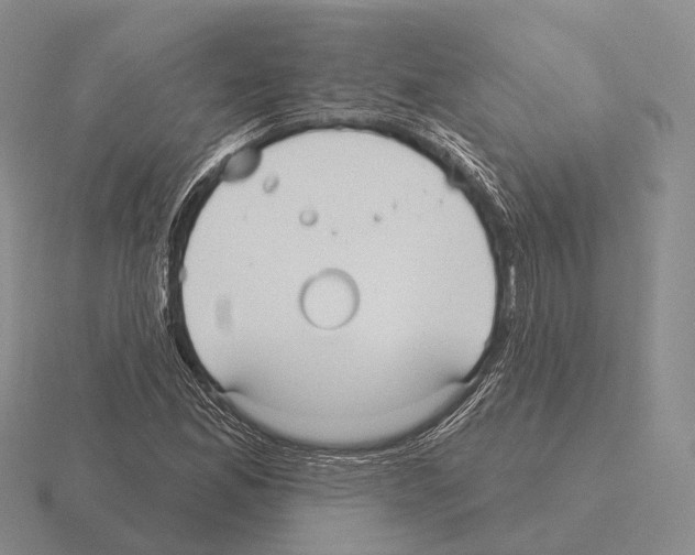 X0000115451165200912161508