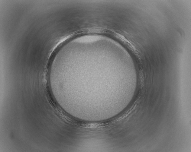 X0000115451166200912161508