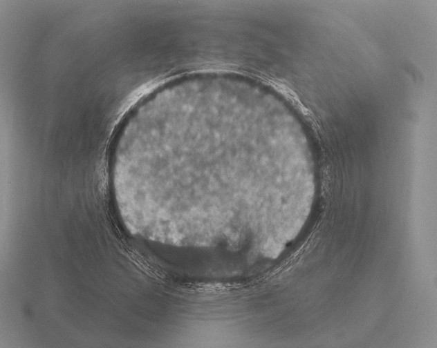 X0000115451167200912161508