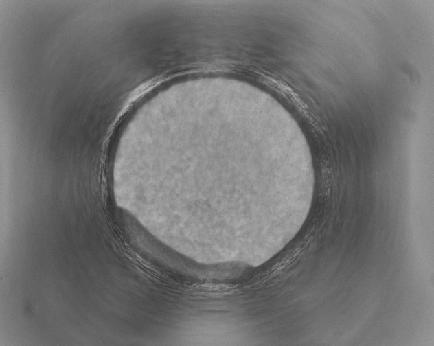 X0000115451168200912161508