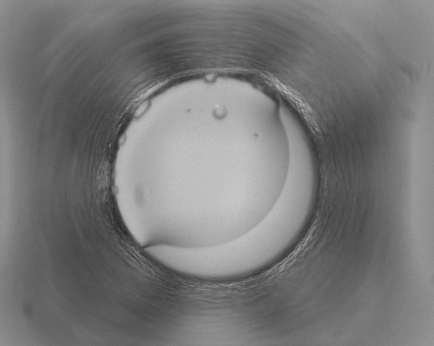 X0000115451169200912161508