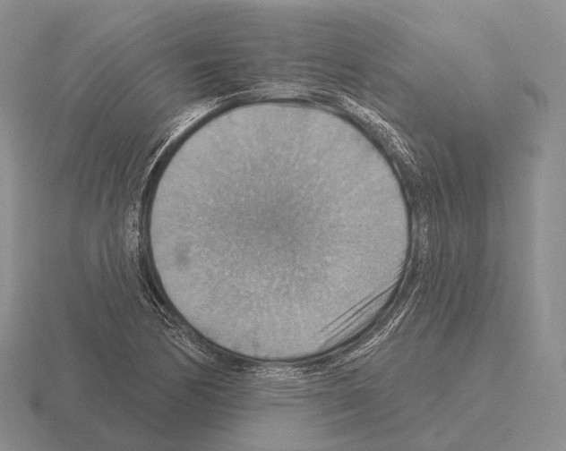 X0000115451170200912161508