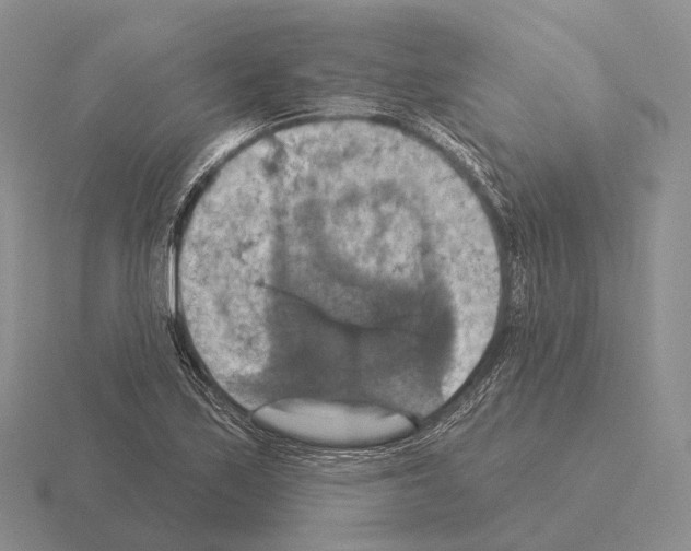 X0000115451171200912161508