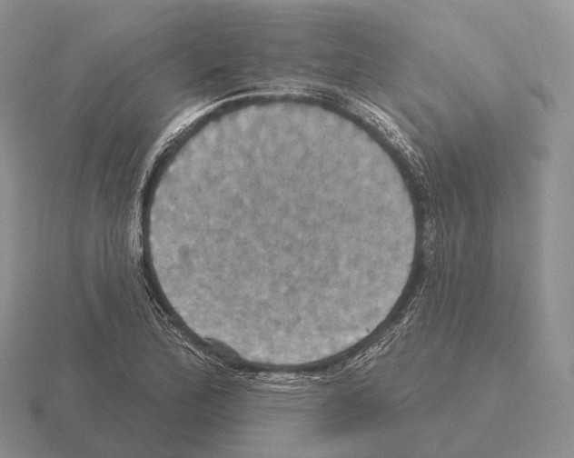 X0000115451172200912161508