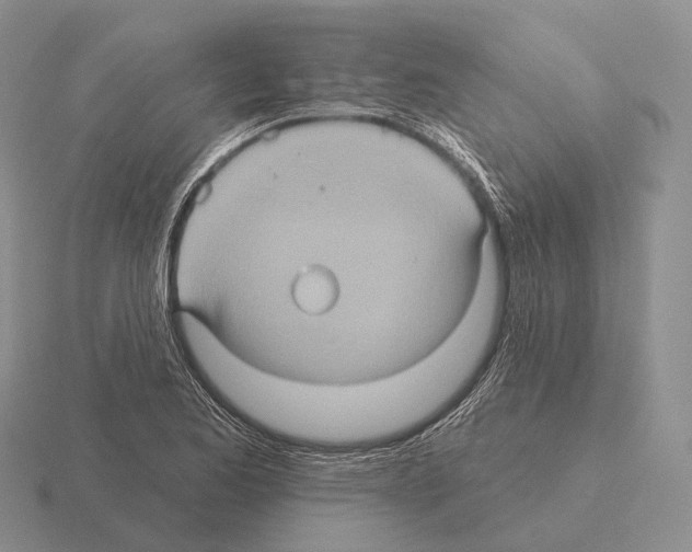 X0000115451173200912161508