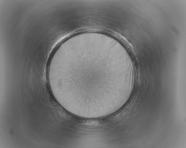 X0000115451174200912161508