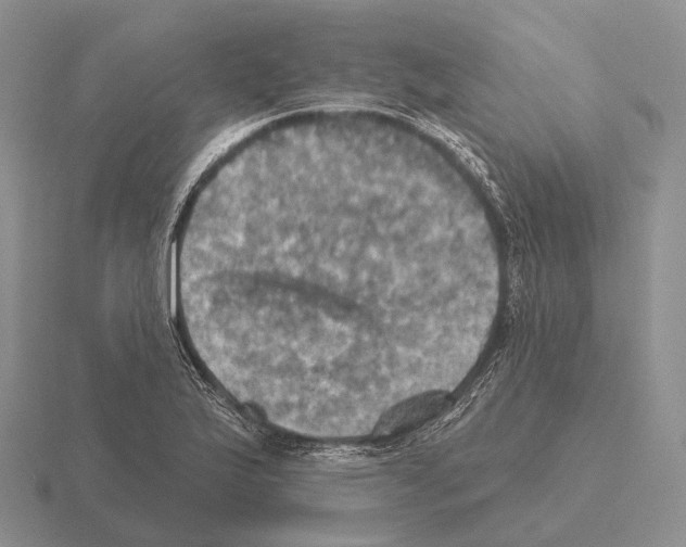 X0000115451175200912161508