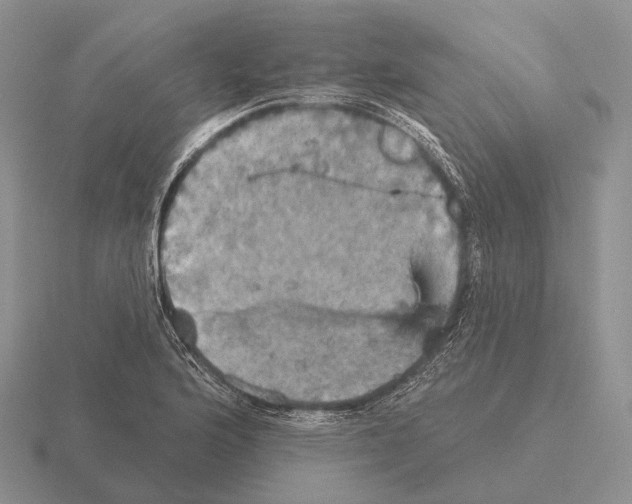 X0000115451176200912161508