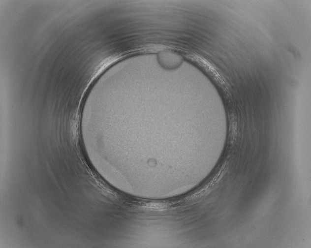 X0000115451178200912161508