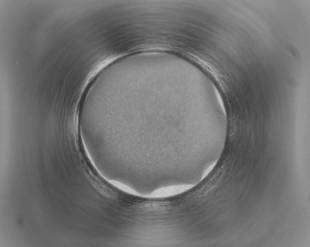 X0000115451179200912161508