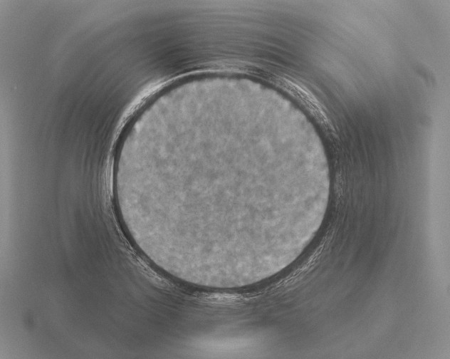 X0000115451180200912161508