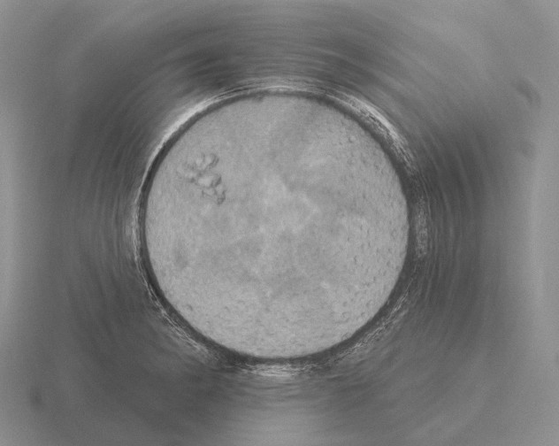 X0000115451182200912161508