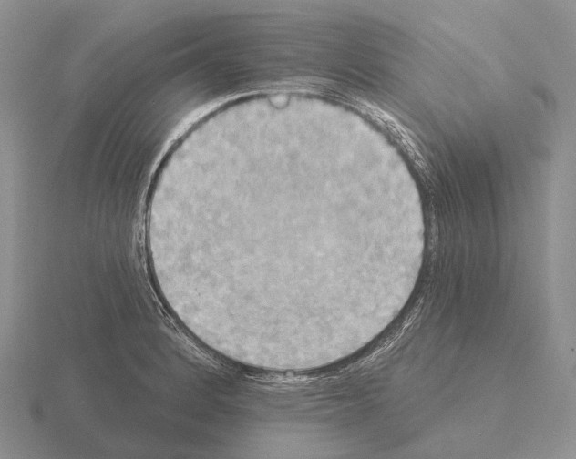 X0000115451184200912161508