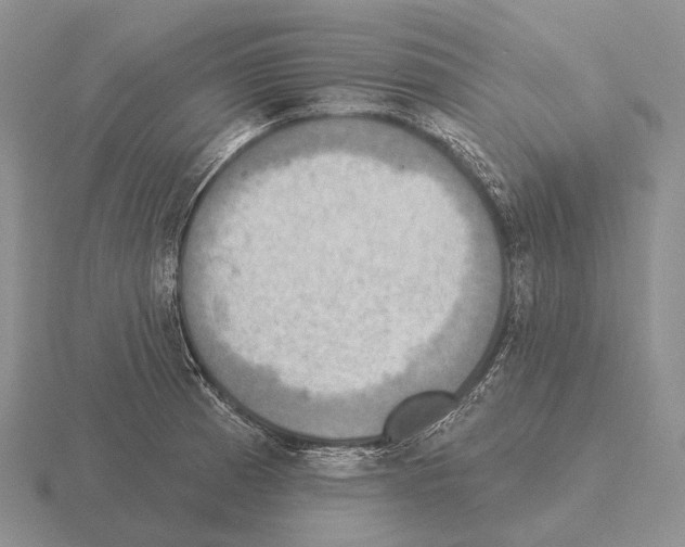 X0000115451185200912161508