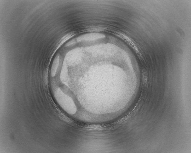 X0000115451186200912161508