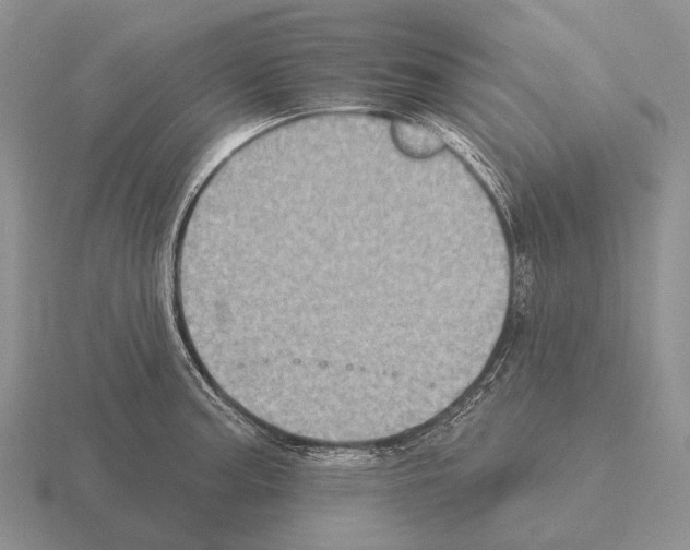 X0000115451187200912161508