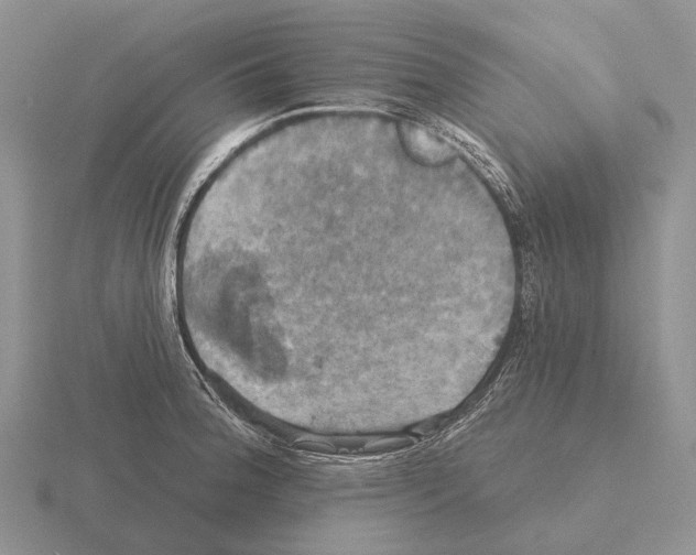 X0000115451188200912161508