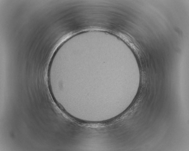 X0000115451189200912161508