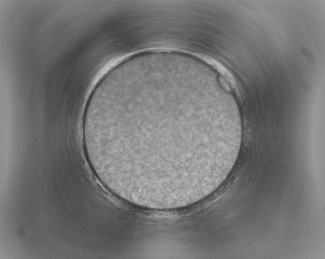 X0000115451191200912161508