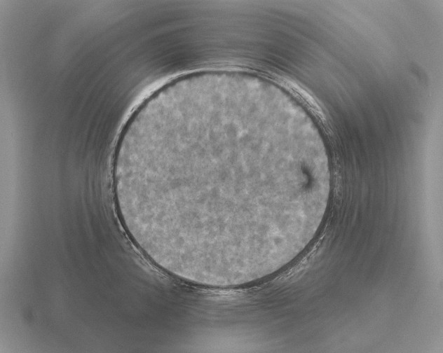 X0000115451192200912161508