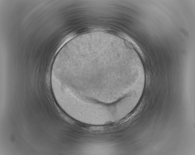 X0000115451194200912161508