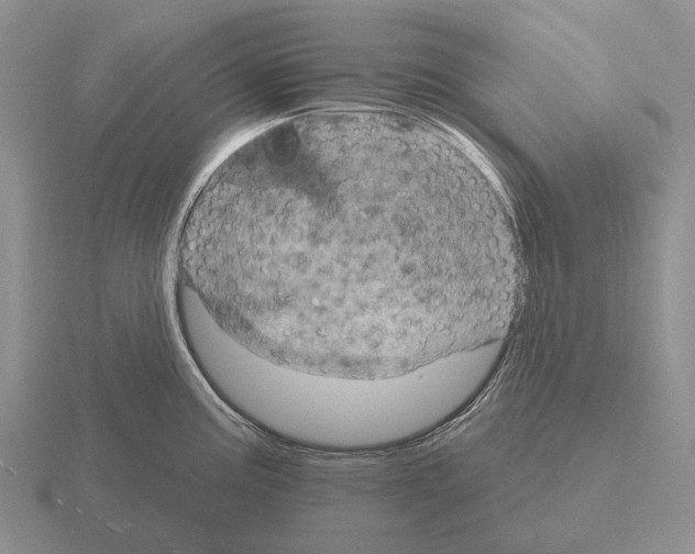 X0000115451195200912161508