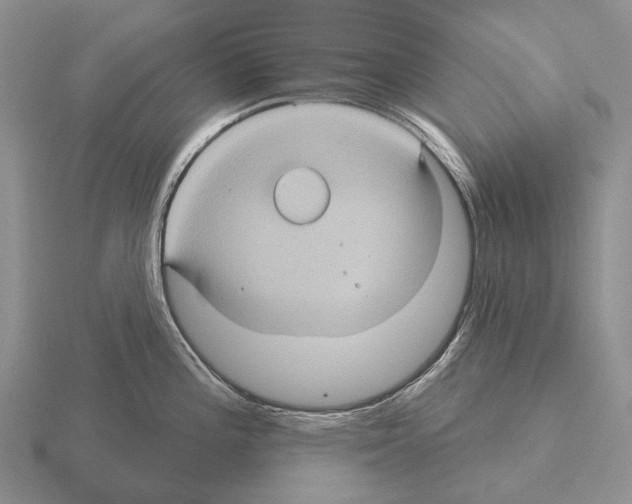 X0000115451196200912161508