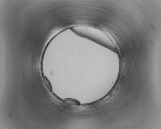 X0000115451197200912161508