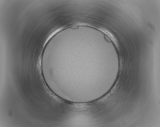 X0000115451198200912161508