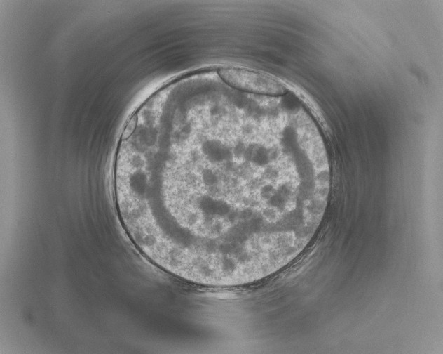 X0000115451199200912161508