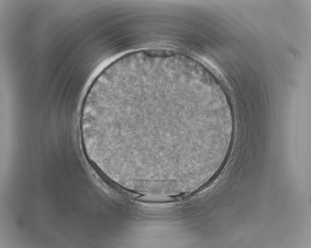 X0000115451200200912161508