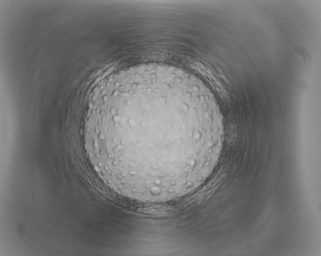 X0000115451201200912161507