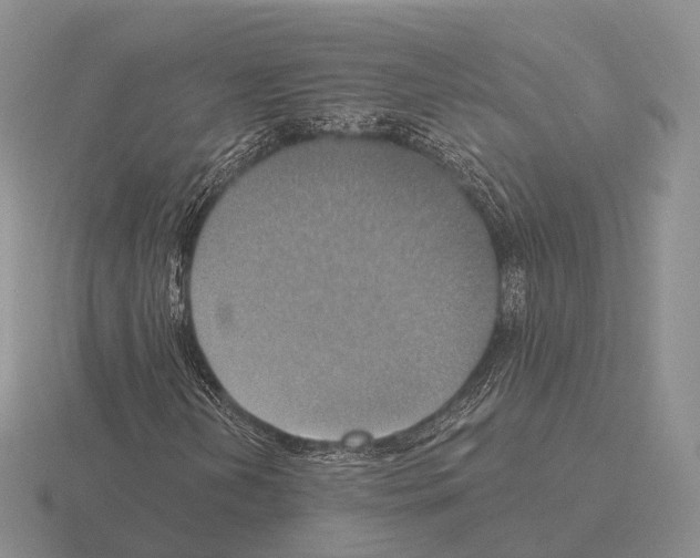 X0000115451202200912161507