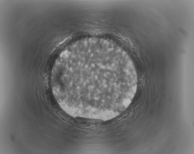 X0000115451205200912161507