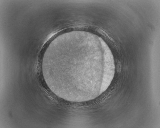 X0000115451208200912161507