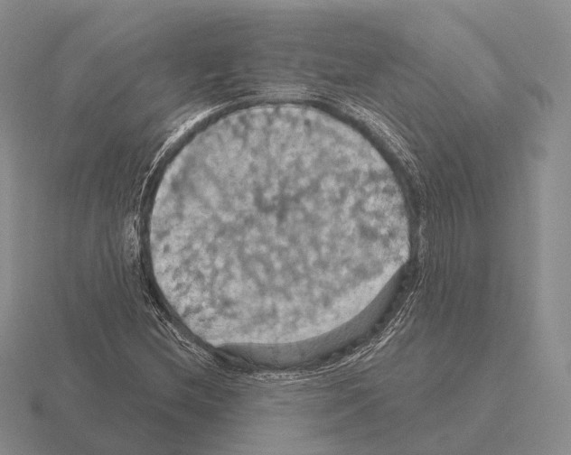 X0000115451212200912161507