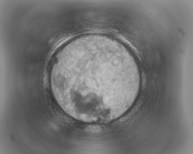 X0000115451215200912161507