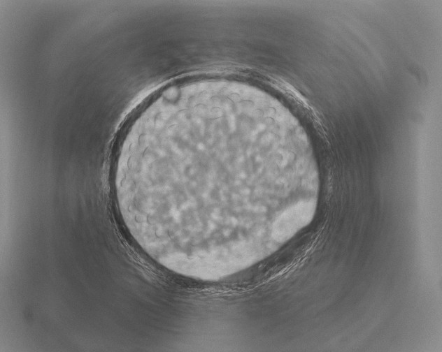 X0000115451216200912161507