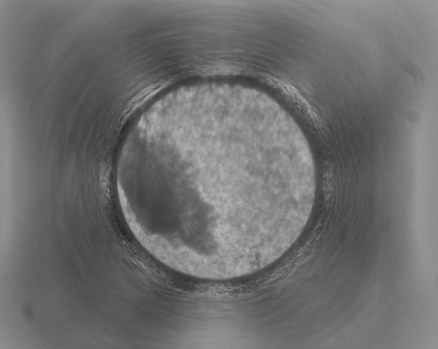 X0000115451217200912161507