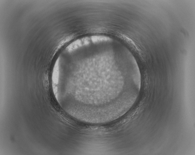 X0000115451218200912161507