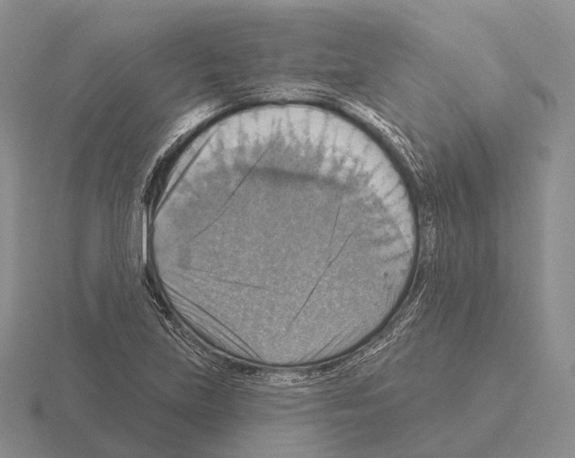 X0000115451219200912161507