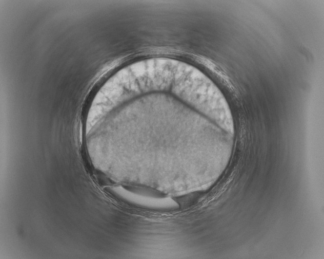 X0000115451221200912161507