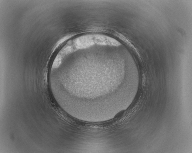 X0000115451222200912161507