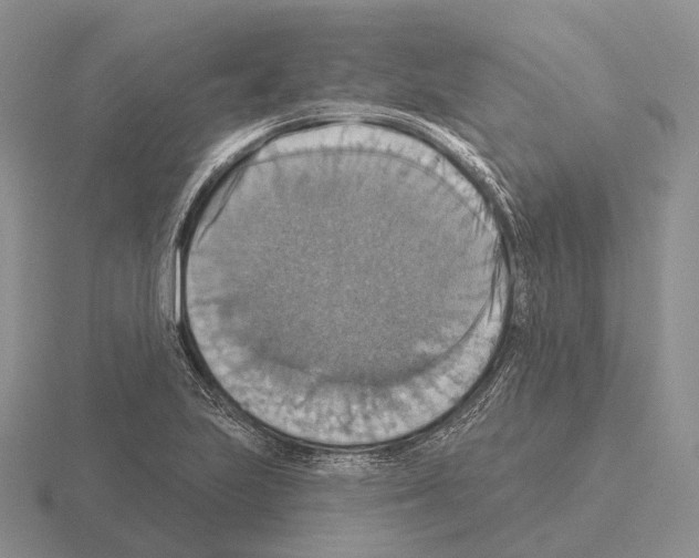 X0000115451223200912161507