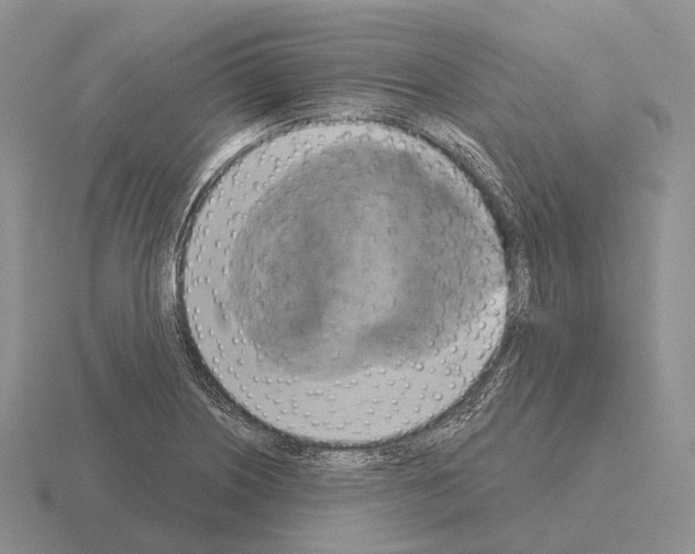 X0000115451226200912161507