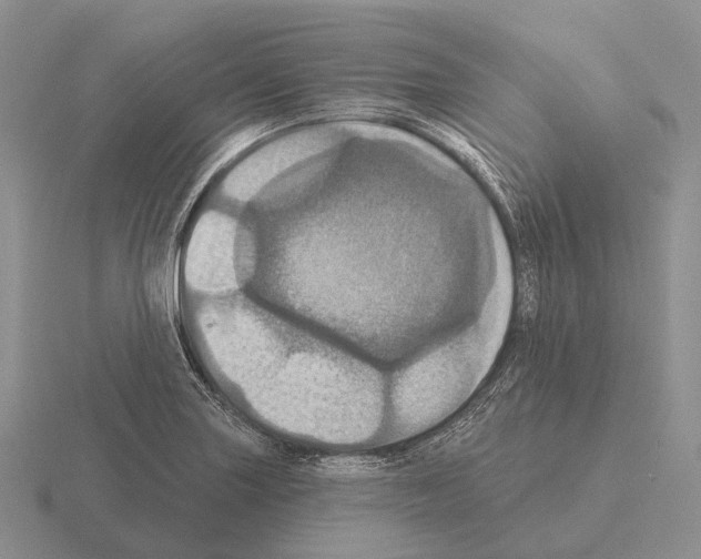 X0000115451227200912161508