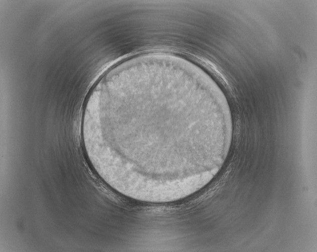 X0000115451228200912161508