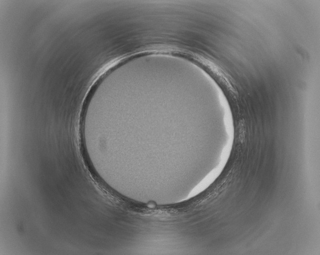 X0000115451229200912161508