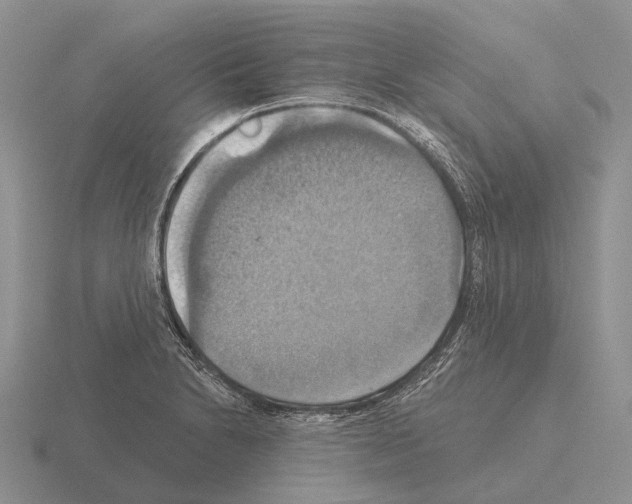 X0000115451230200912161508